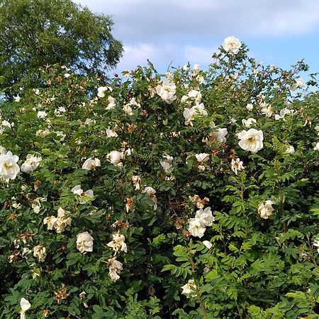Lilla Mysstuga I Havsnaera 瓦尔贝里 外观 照片
